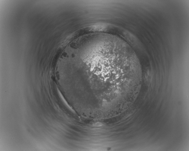 X0000081600551200701291404