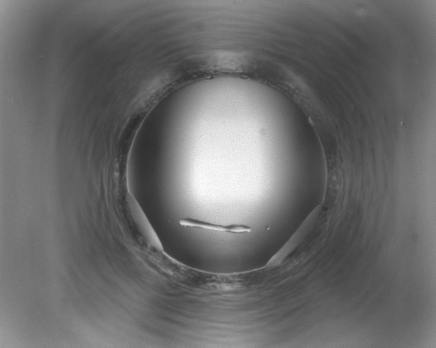 X0000081600552200701291404