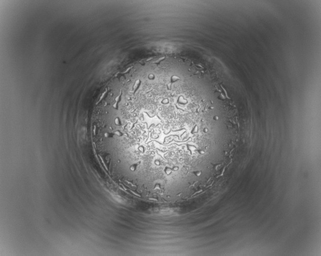 X0000081600553200701291404