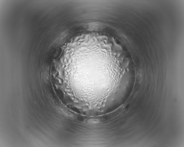 X0000081600554200701291404