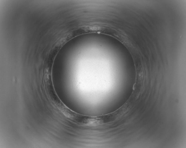 X0000081600555200701291404