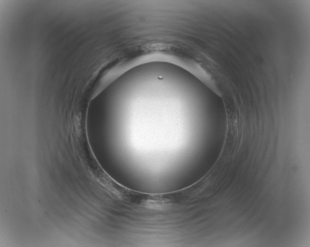 X0000081600556200701291404