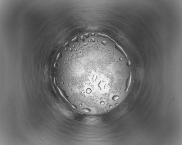 X0000081600557200701291404