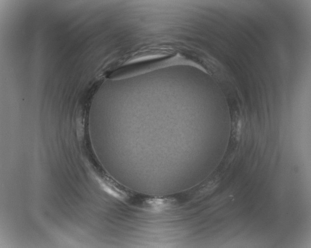 X0000081600558200701291404