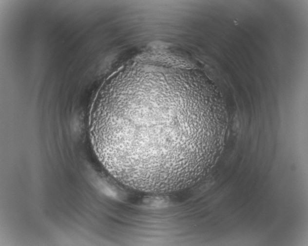 X0000081600559200701291404