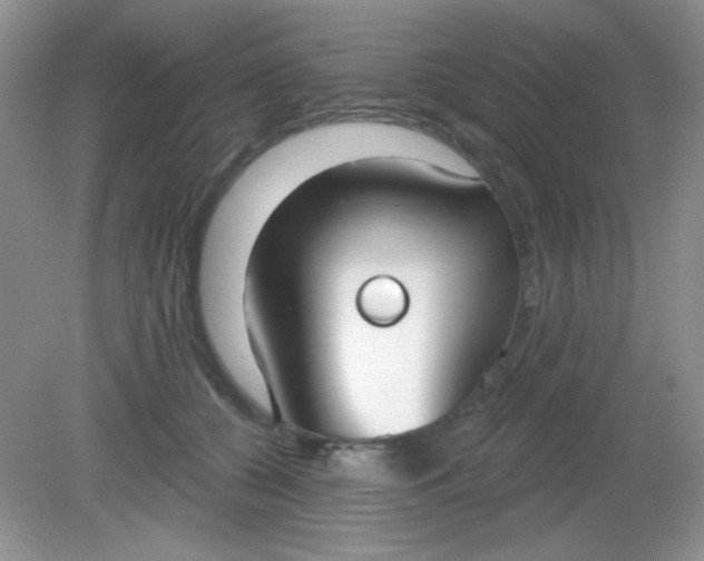 X0000081600560200701291404