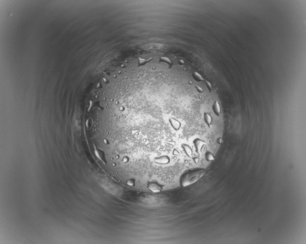 X0000081600561200701291404