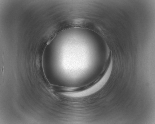 X0000081600562200701291404