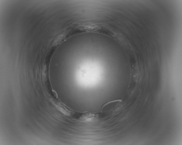 X0000081600563200701291404