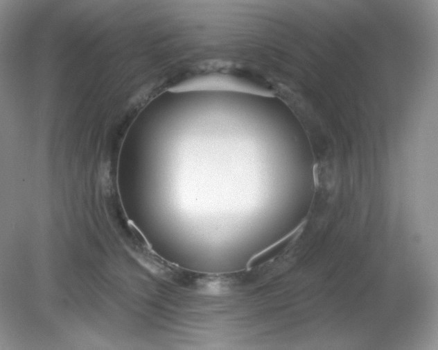 X0000081600564200701291404