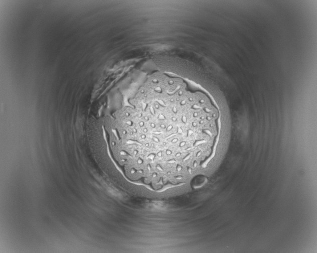 X0000081600565200701291404