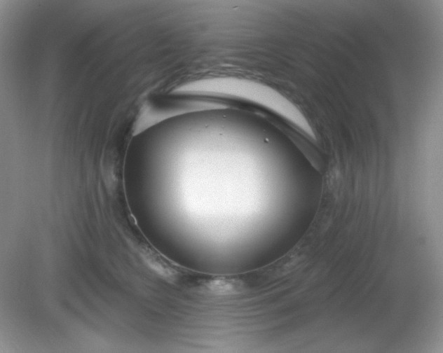 X0000081600566200701291404