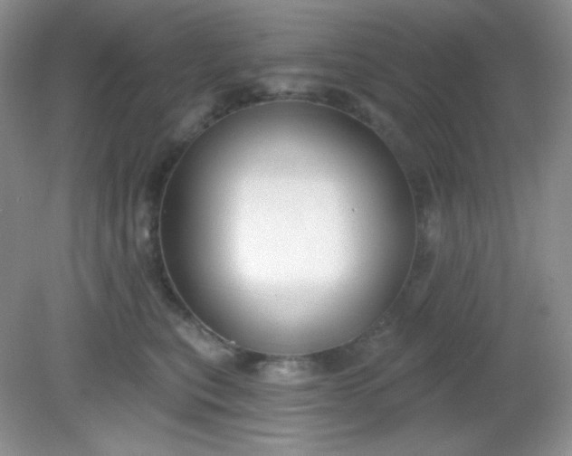 X0000081600567200701291404