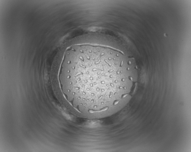 X0000081600569200701291404