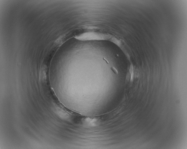 X0000081600570200701291404