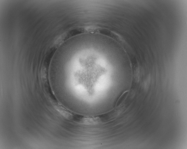 X0000081600571200701291404