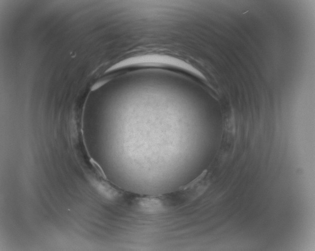 X0000081600572200701291404