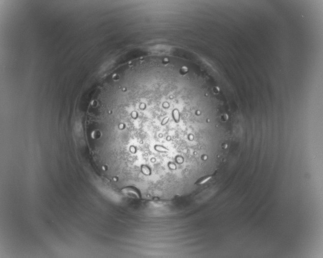 X0000081600573200701291404