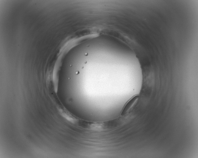 X0000081600574200701291404