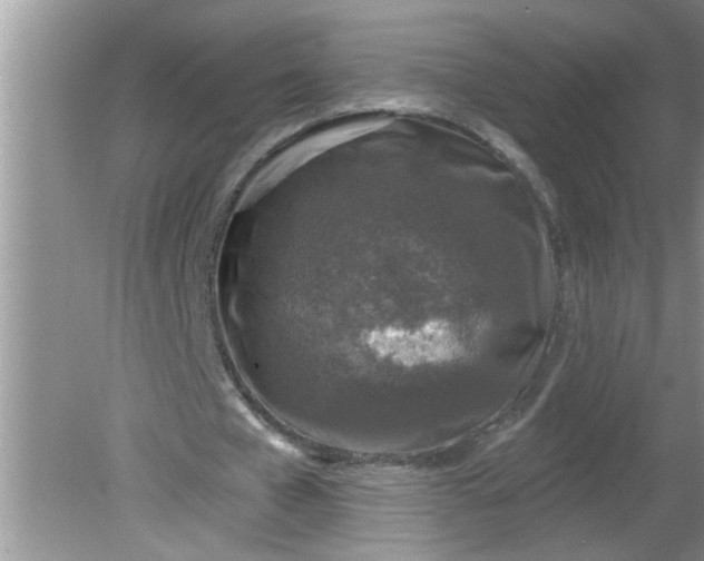 X0000081600577200701291403