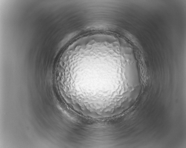 X0000081600578200701291403