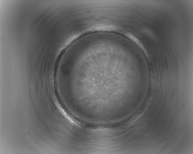 X0000081600581200701291403