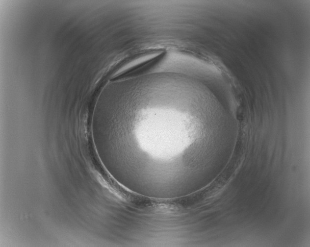 X0000081600585200701291403