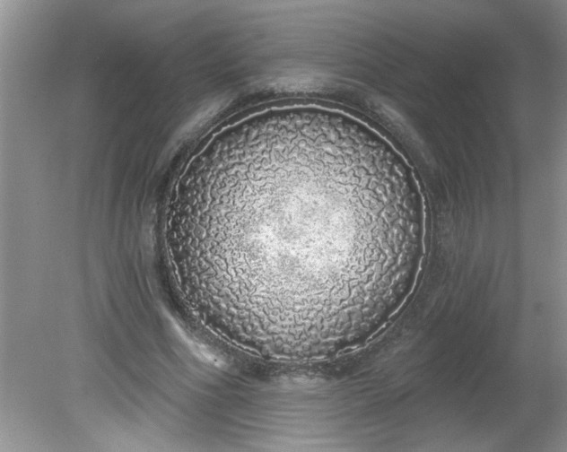 X0000081600586200701291403