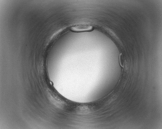 X0000081600588200701291403