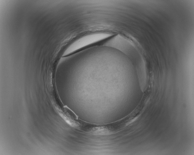 X0000081600589200701291403