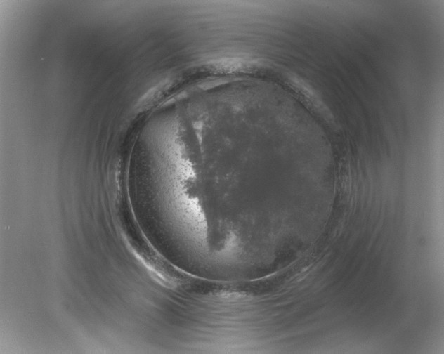 X0000081600590200701291403