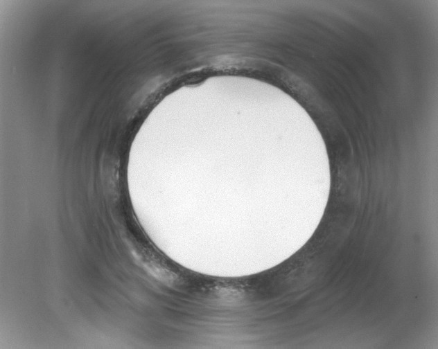 X0000081600592200701291403