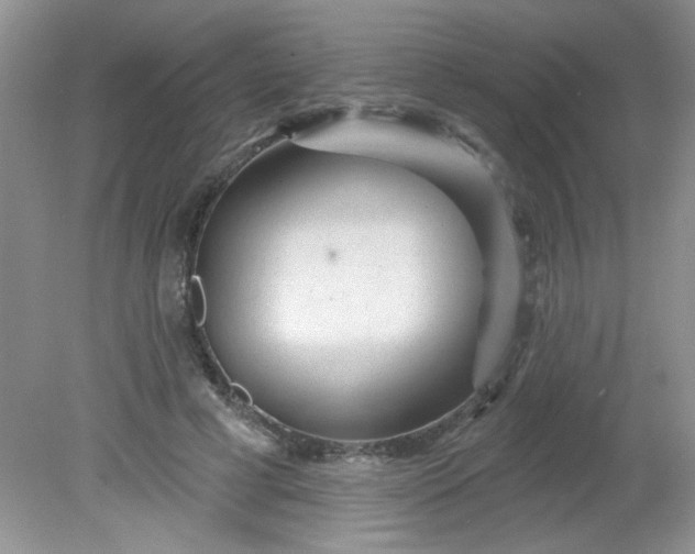 X0000081600593200701291403