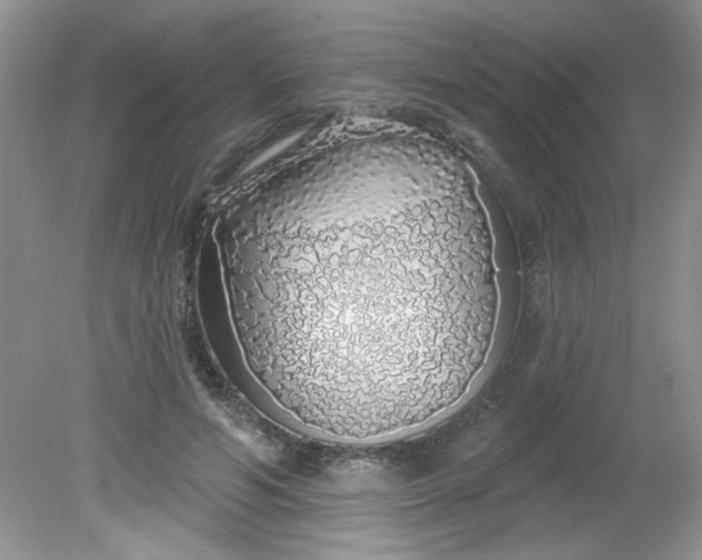 X0000081600594200701291403