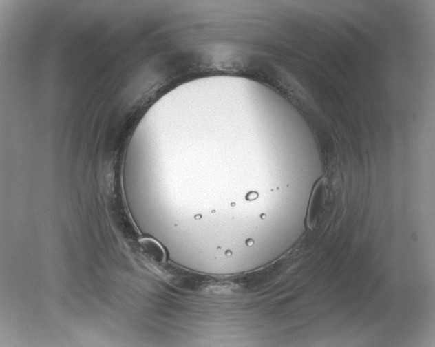 X0000081600595200701291403