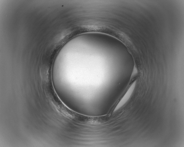 X0000081600596200701291403