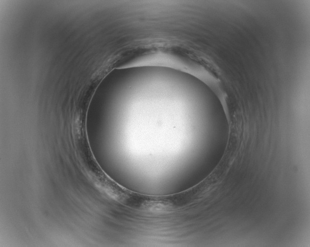 X0000081600597200701291403