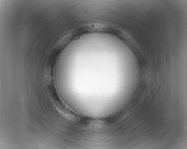 X0000081600599200701291403