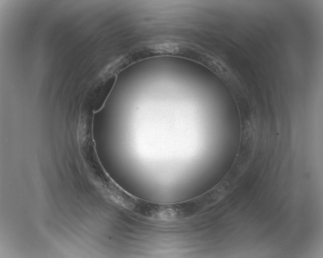 X0000081600600200701291403