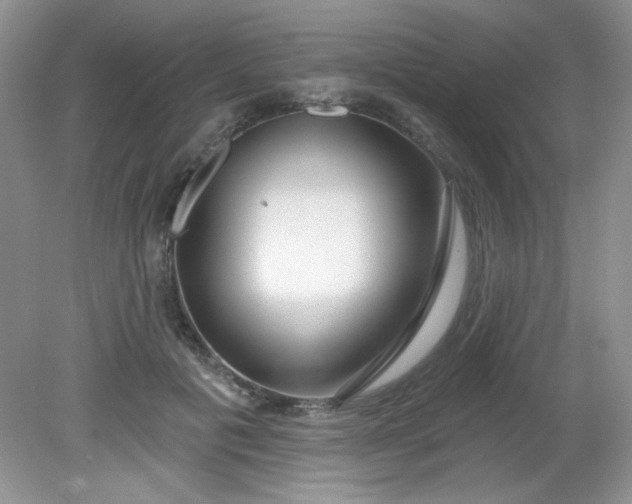 X0000081600601200701291403