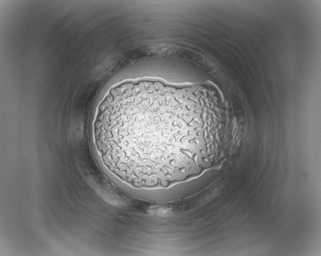 X0000081600602200701291403