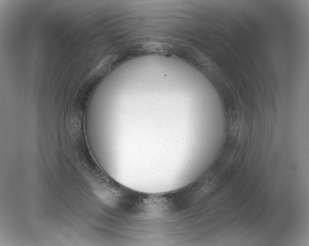 X0000081600603200701291403