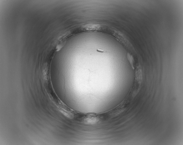 X0000081600604200701291403