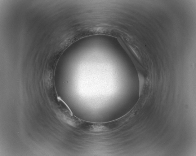 X0000081600605200701291403