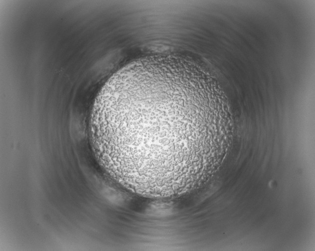 X0000081600606200701291403