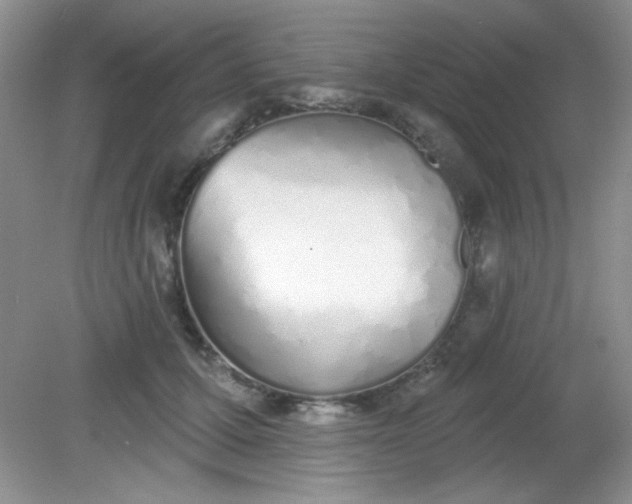 X0000081600607200701291403