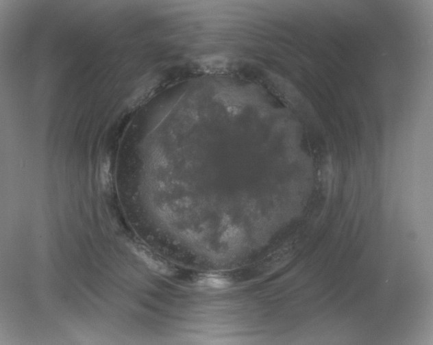 X0000081600610200701291403