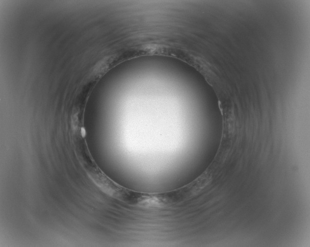 X0000081600611200701291403