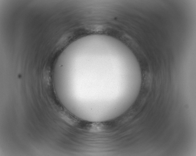 X0000081600612200701291403