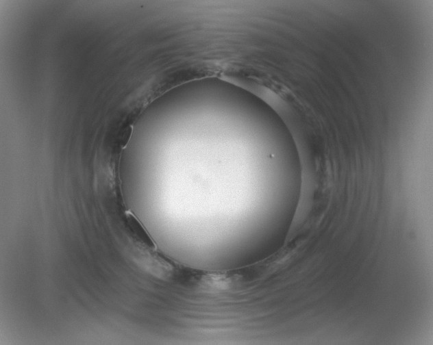 X0000081600613200701291403